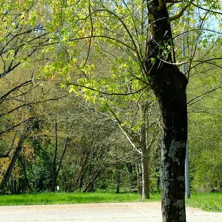 Barxa